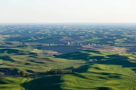 Rolling Palouse Hills